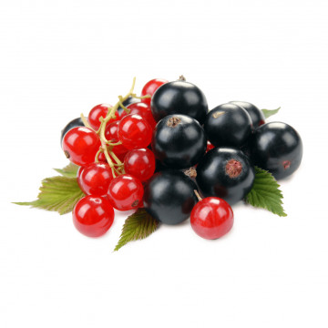 Porzeczka czarna 2,5 kg. AGRAM/RUN/KING